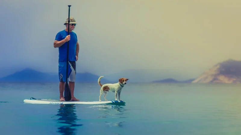 SUP yoga zdrowie sport i przygoda na wodzie