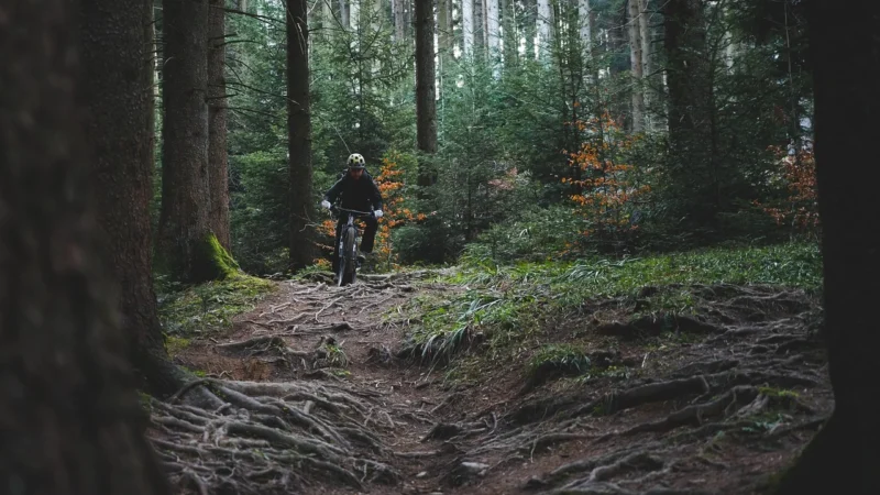 Trójmiasto dla miłośników rowerów: trek, gravel, MTB i serwis na medal