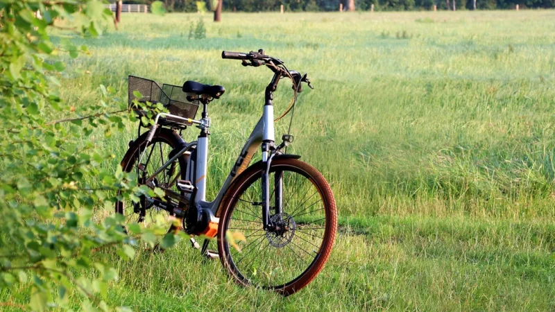 Trek w Gdyni — serwis, Madone, Marlin i wypożyczalnia rowerów elektrycznych